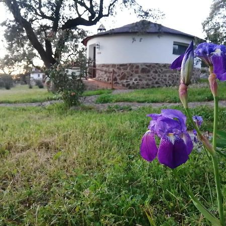الشقق الفندقية La Roca de la Sierraفي  Chozos De La Dehesa المظهر الخارجي الصورة